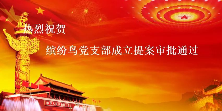 喜讯！缤纷鸟党支部成立提案正式审批通过！