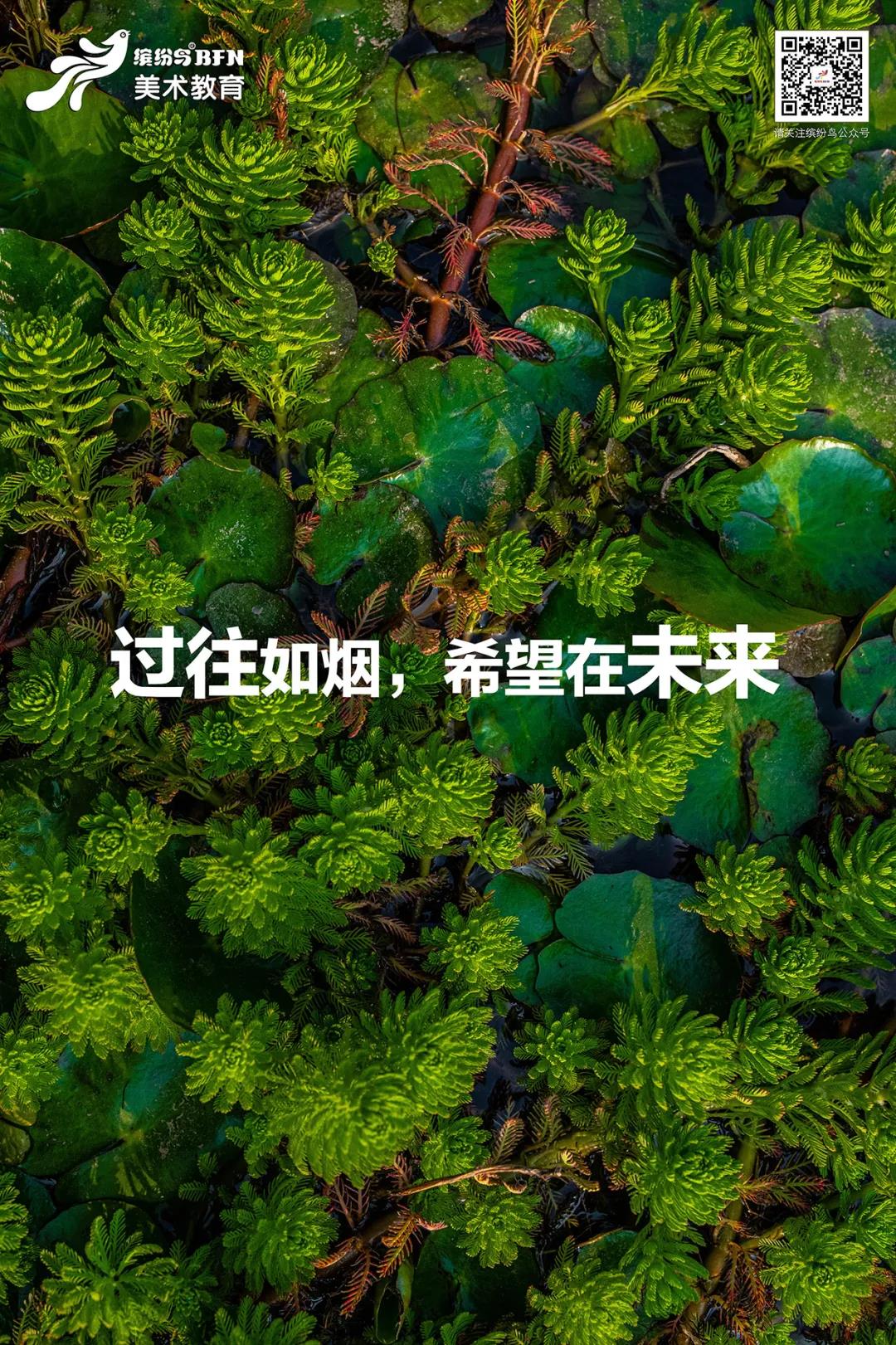 少儿美术培训，少儿美术
