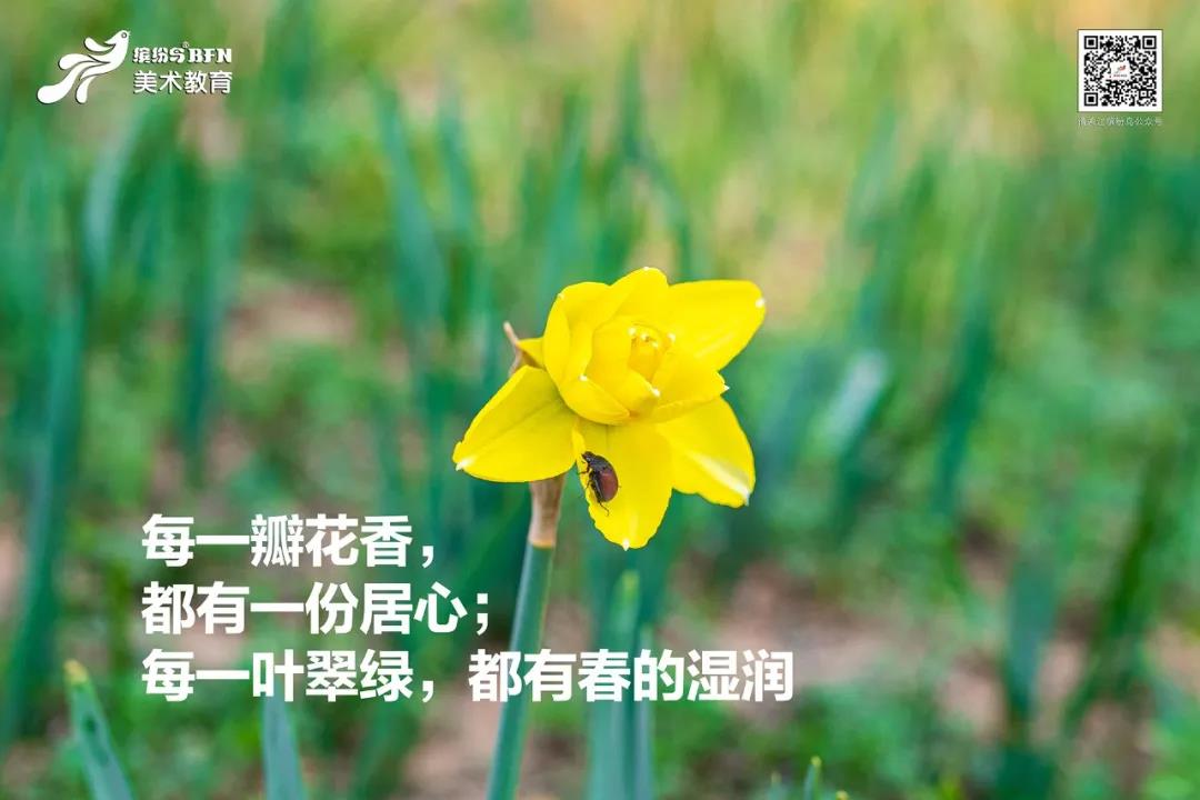 少儿美术培训，少儿美术