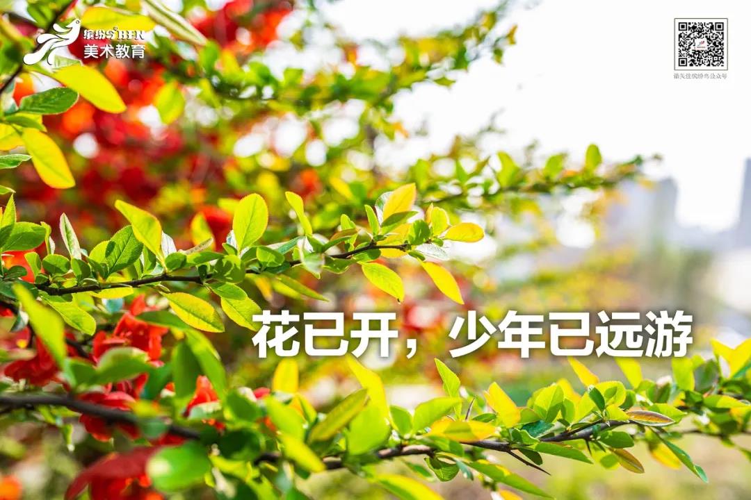 少儿美术培训，少儿美术