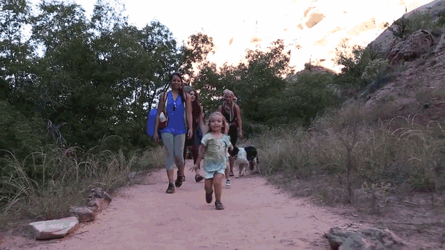 5e7d61b408954.gif